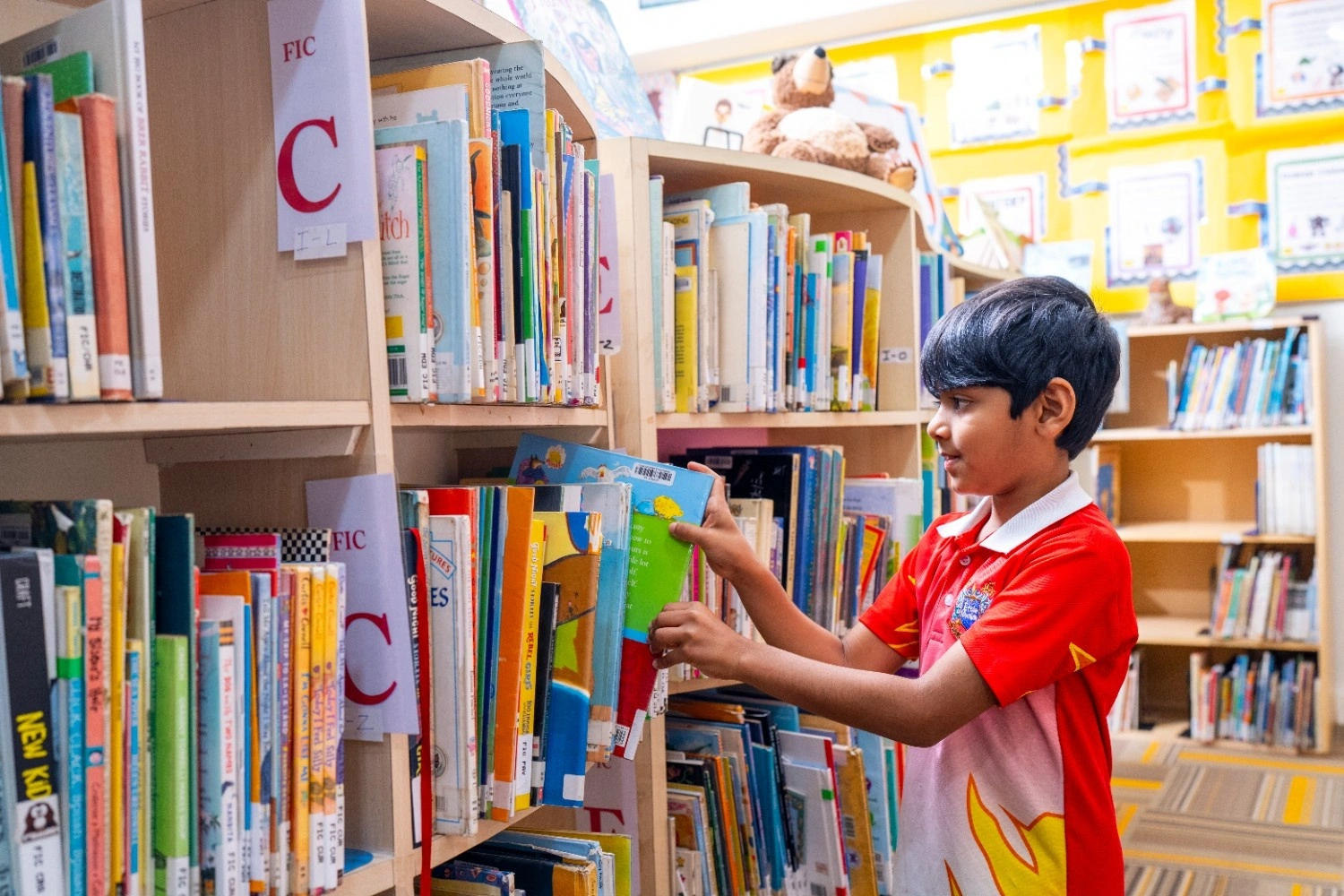 Access Primary Library Resources